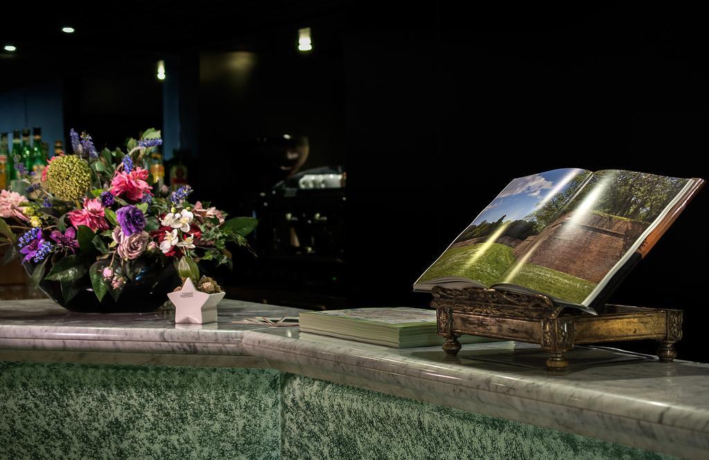 Hotel Rex 3*